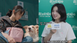 《我会好好的》导演董宏杰 主演张子枫 谈如何面对死亡和告别