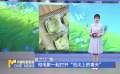 和電影一起打開“舌尖上的春天”