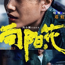向陽·花