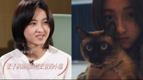 张子枫哽咽回忆去世的小猫