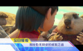 《中国电影报道》第088期（20250329）