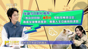 張?jiān)剑骸段視煤玫摹吠扑]所有人觀看