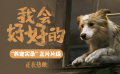 电影《我会好好的》发布“养宠实录”正片片段