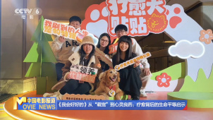 《我会好好的》从“萌宠”到心灵良药：疗愈背后的生命平等启示