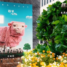 我的世界大電影