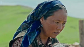 远去的牧歌：少撕山羊绒，能赚多少钱？