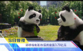 《中国电影报道》第097期（20250407）