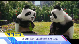 《中国电影报道》第097期（20250407）