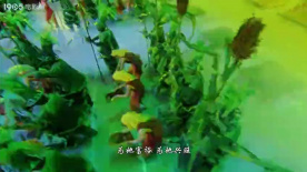 复兴之路：田野世代守望，改革潮中新篇章