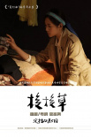 《梭梭草》海報