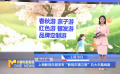 上海影視樂(lè)園發(fā)布“影視沉浸之旅”五大主題線路