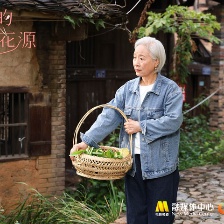 和你的桃花源