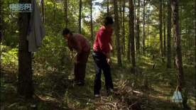 至善情缘：两人为隐瞒母亲，住一间房