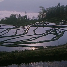 婼瑪?shù)氖邭q