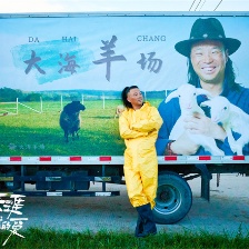 蒼茫的天涯是我的愛(ài)