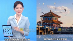 跟著華表游青島 發(fā)現(xiàn)《抓娃娃》里的絕美城市角落