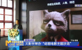 大影節(jié)舉辦“動畫電影主題沙龍”
