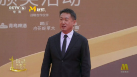 第二十届华表奖 | 导演刘晓世携电影《长空之王》入场