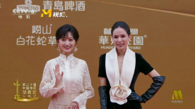 第二十届华表奖 | 两位“冻龄女神”赵雅芝、李若彤亮相入场式