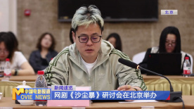 网剧《沙尘暴》研讨会在北京举办