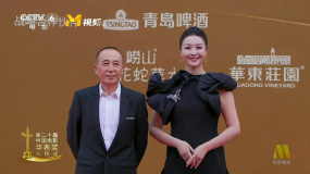 第二十届华表奖 | 曹保平 齐溪携手入场