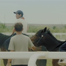 小馬鞭