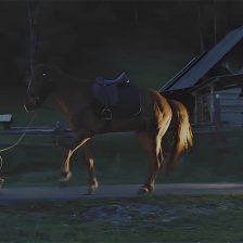 小馬鞭