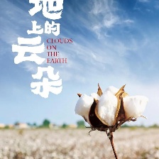 地上的云朵