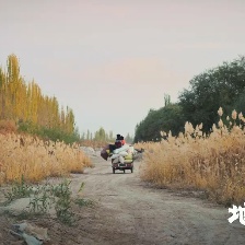地上的云朵