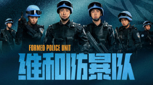 維和防暴隊
