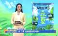 在立夏 迎接夏天的電影