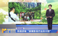 韩国游客“跟着影视作品来中国”