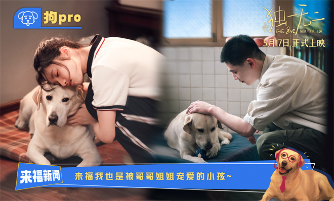 张婧仪、辛云来各有各的甜!《独一无二》曝特辑