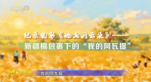 《地上的云朵》：从棉农的视角打开不一样的新疆