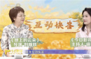 《地上的云朵》：当新疆的云絮坠落在棉田里