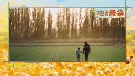 《地上的云朵》導(dǎo)演劉幗軼分享：最喜歡片尾父子倆在田里漫步鏡頭