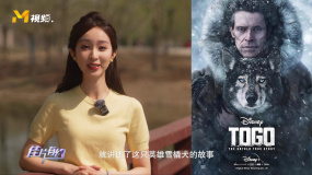 真正的狗狗無可替代！一同走近電影《野性的呼喚》