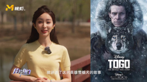 真正的狗狗无可替代！一同走近电影《野性的呼唤》