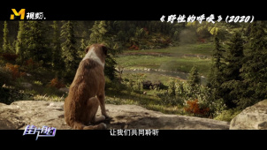 人工智能时代来临，真实动物会被机械动物取代吗