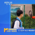 《人生开门红》票房破亿 直播行业为何乱象丛生？