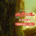 《幽靈公主》曝正片片段 宮崎駿自然美學(xué)治愈人心