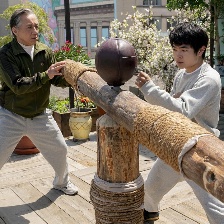 功夫梦：融合之道