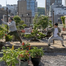 功夫梦：融合之道