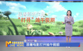 跟著電影打開端午假期