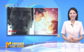 當(dāng)端午遇上六一 雙檔期聯(lián)動(dòng)為暑期檔預(yù)熱