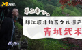 探索銀幕上的青城山 盤點享譽世界的非物質文化遺產(chǎn)
