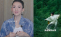 章子怡再谈角色“玉娇龙”：她开启了我的世界电影之门
