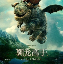 新·馴龍高手