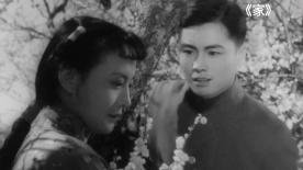 1905有宝藏——王丹凤的经典光影