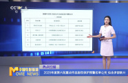 2025年度第六批重點作品版權保護預警名單公布 包含多部新片